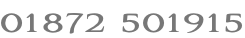 01872 501915